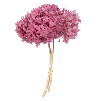 Vickerman Natural Botanicals 15” Hydrangea with Multiple Branch Segments, Preserved