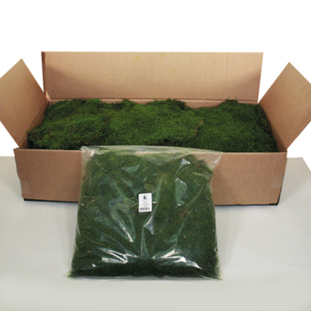 Vickerman Sheet Moss, 8oz Preserved