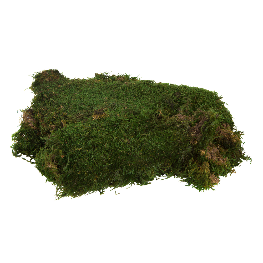 Vickerman Sheet Moss, 8oz Preserved