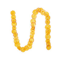10' Natural Dried Orange Garland
