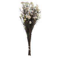 Vickerman 16" Rice Flower, 4.25oz Preserved
