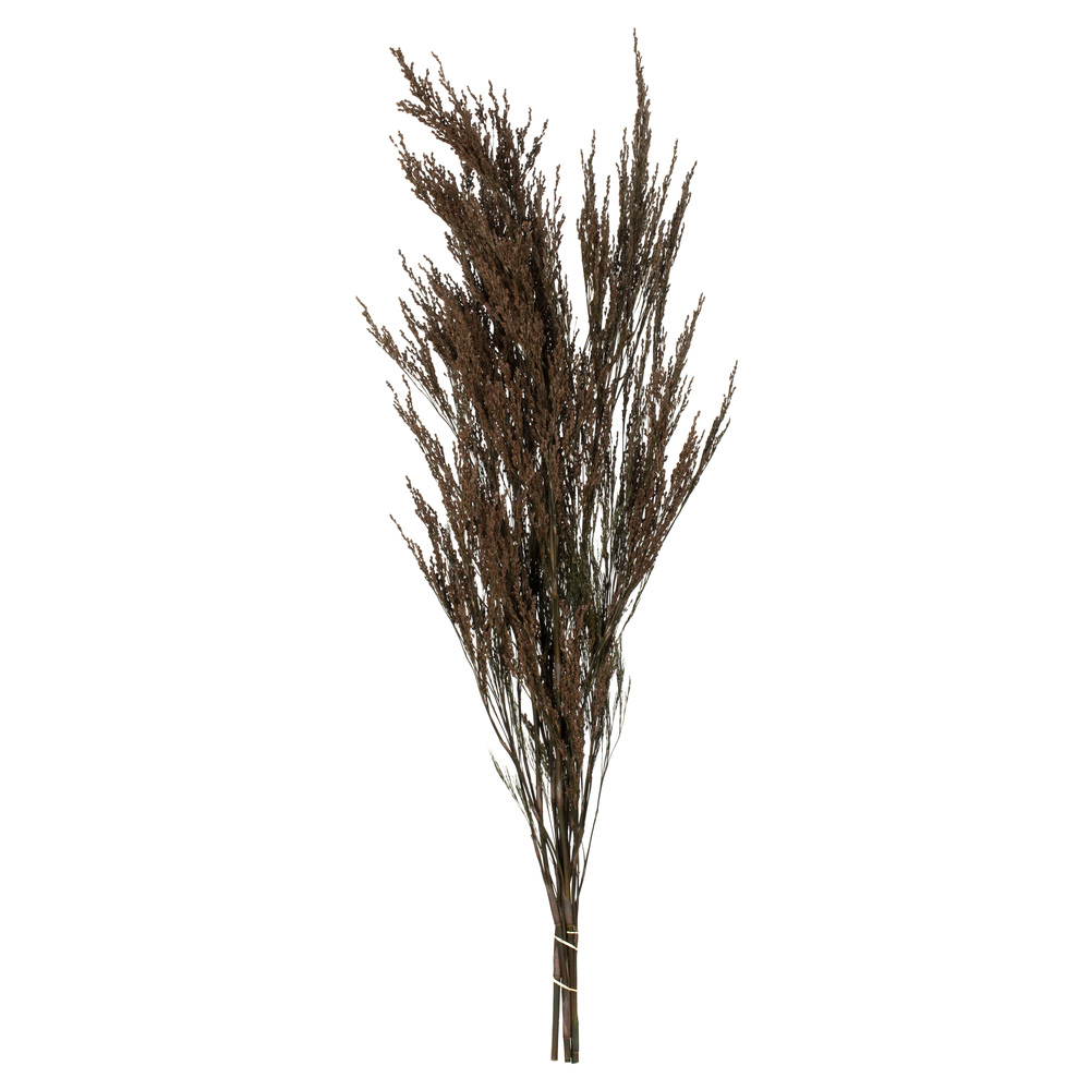 Vickerman Green Reed Grass Bundle