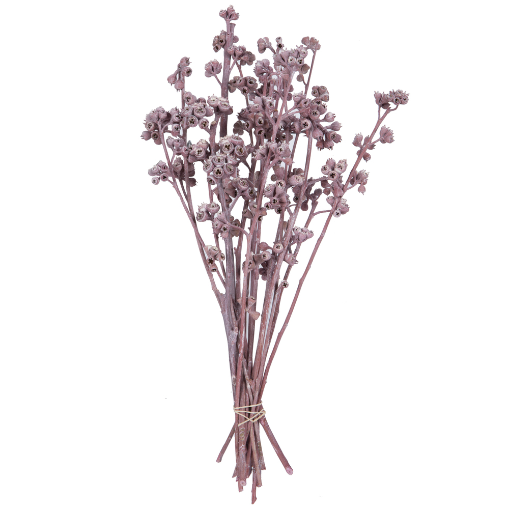 Vickerman Natural Botanicals 13" x 1-3" Red Gum Branch Frosted, 14 stems per unit