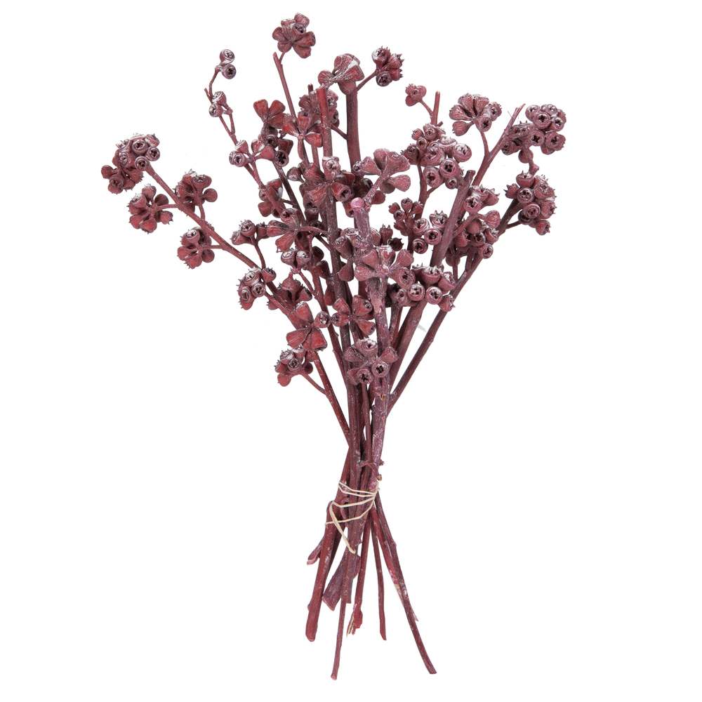 Vickerman Natural Botanicals 13" x 1-3" Red Gum Branch Frosted, 14 stems per unit