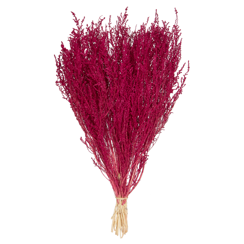 Vickerman 14"-18" Stoebe Bundle, Preserved