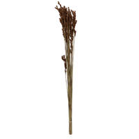 33"x5" Thatch Reed 3.5oz Bunch