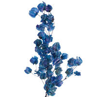 13.5-17" Navy Cara Blossom Bundle