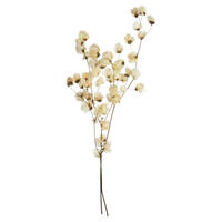 Vickerman Cara Blossom Spray