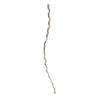 Vickerman 72-84" Natural Cipo, Dried