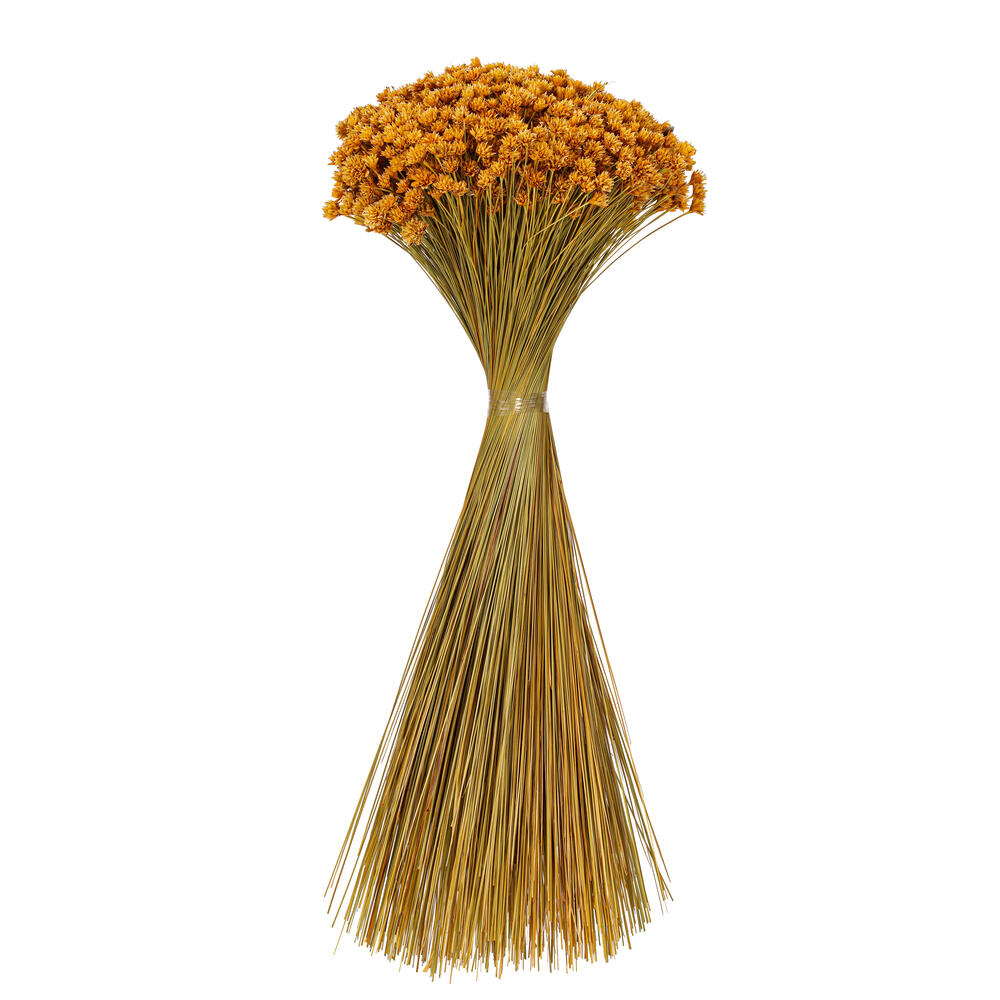 Vickerman 14" Dried Hil Flower Bunch, 16 oz