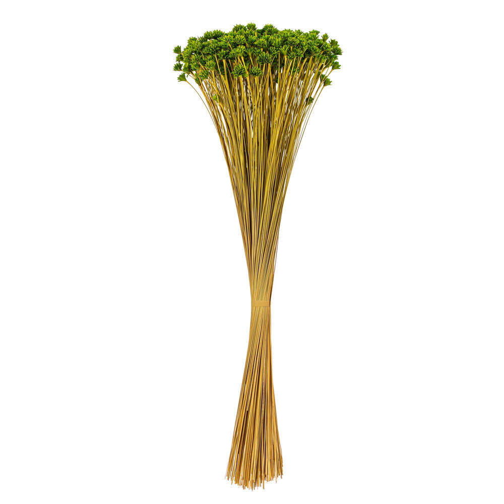 Vickerman 14" Dried Hil Flower Bunch, 16 oz