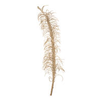 Vickerman Natural Medusa Branch, Dried