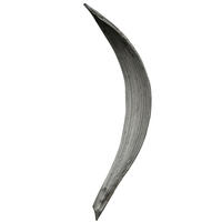 Vickerman Palm Paddles, Dried