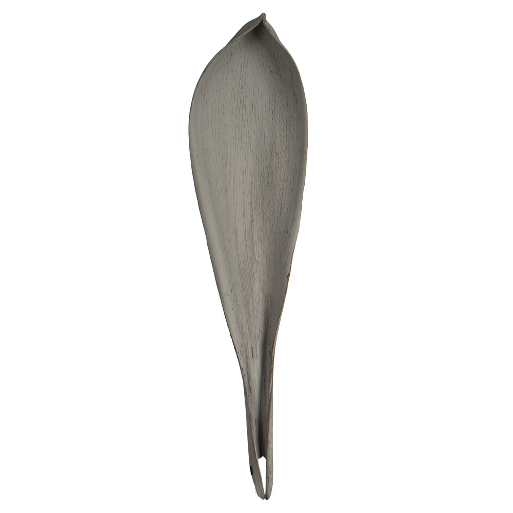 Vickerman Palm Paddles, Dried