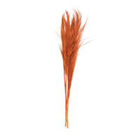 Vickerman 46" Dried Pampas Grass