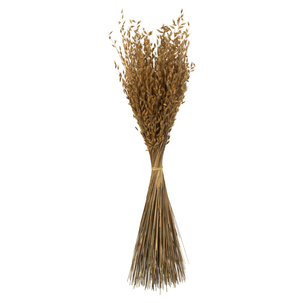 Vickerman 30" Princess Grass Bundle, Dried