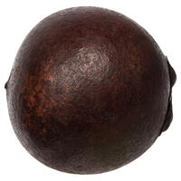Vickerman 1"-2" Quinto Ball Vase Filler, Dried
