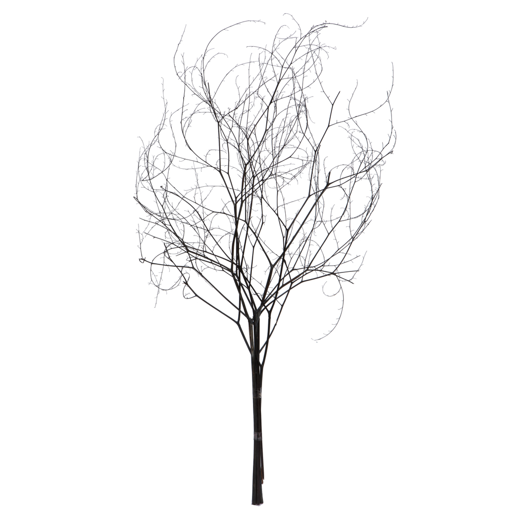 18-20" Natural Brown Skeleton Branch 3Pk