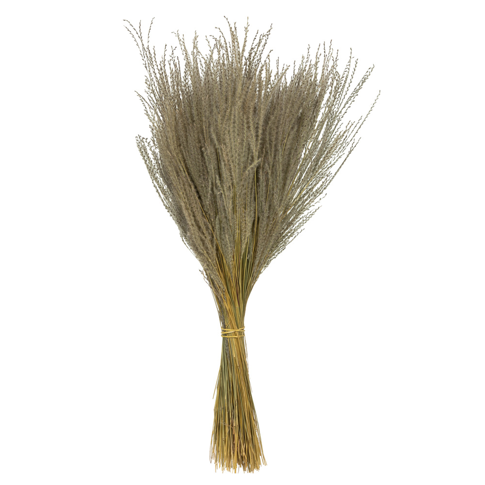 14-20" Natural Snowdrop Grass 9oz