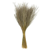 14-20" Natural Snowdrop Grass 9oz