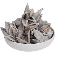 Vickerman 3"-4" Sora Pods, Dried Bulk Case