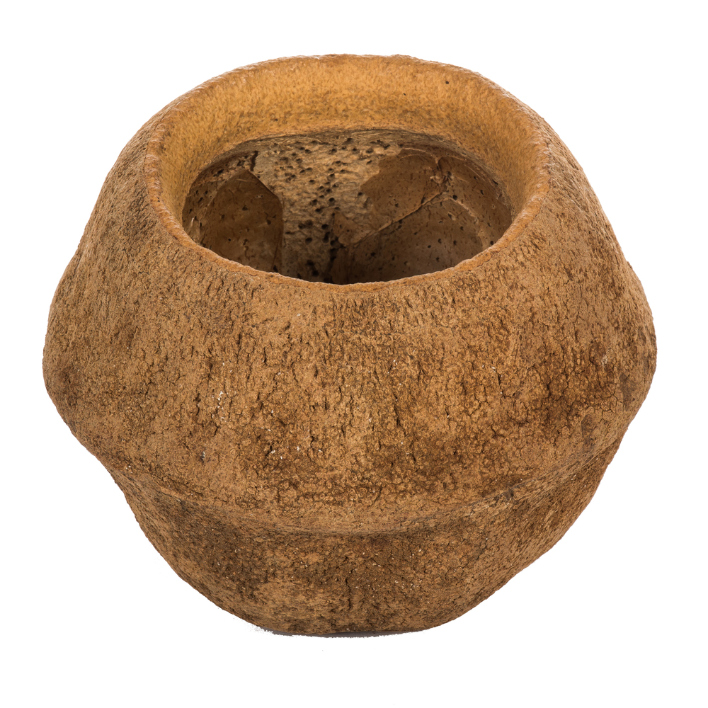Vickerman 4" Sapa Pod, Dried