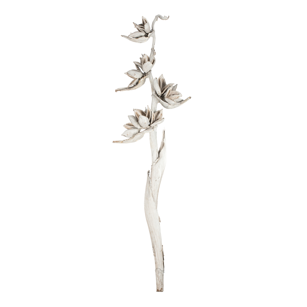 Vickerman 5-6' Star Pod Stalk, Dried
