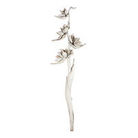 Vickerman 5-6' Star Pod Stalk, Dried