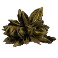 Vickerman 6" Star Pod, Dried