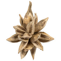 Vickerman 6" Star Pod, Dried