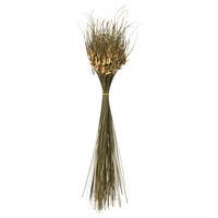 26" Natural Tulip Star 4oz 4Pk