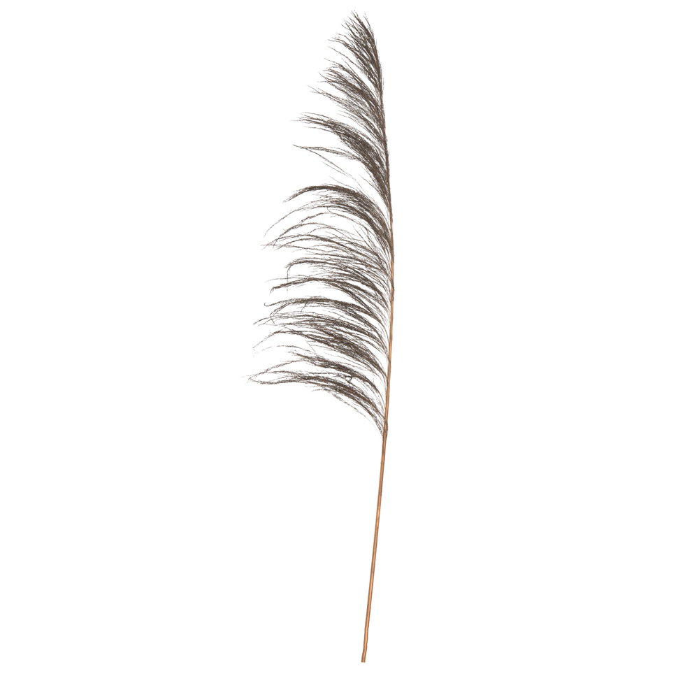 Vickerman 60-72" Uva Palm Spray