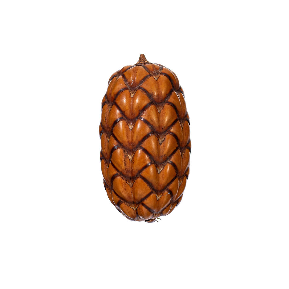 2"-3" Natural Uxi Pod 24/Bag