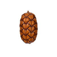 2"-3" Natural Uxi Pod 24/Bag