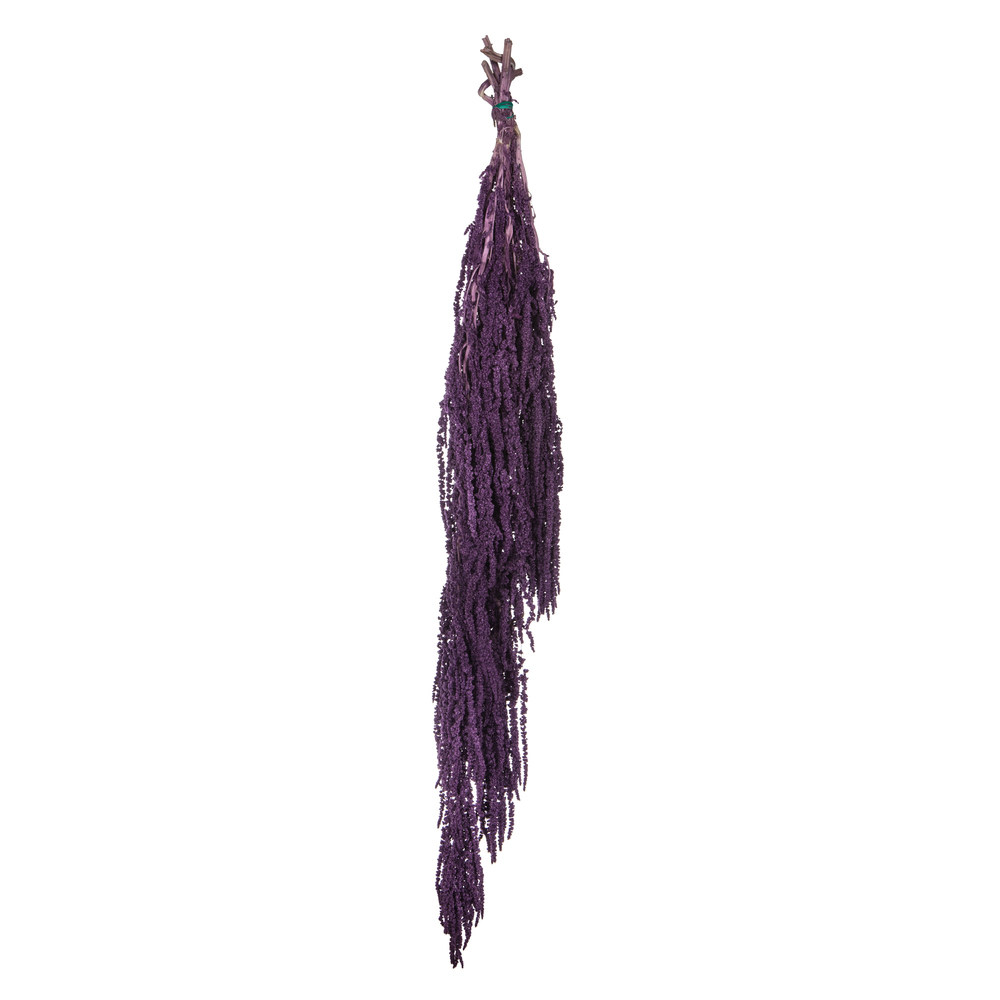 Vickerman 30" Amaranthus Bundle, Preserved