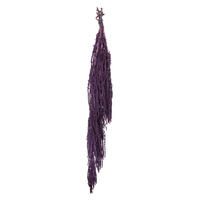 30" Violet Amaranthus Bundle 7oz