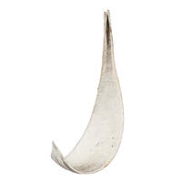 Vickerman Palm Paddles, Dried