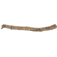 Vickerman Natural Cholla Cactus Segment, Dried