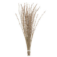36-38" Natural Deglet Nour Branch Bundle