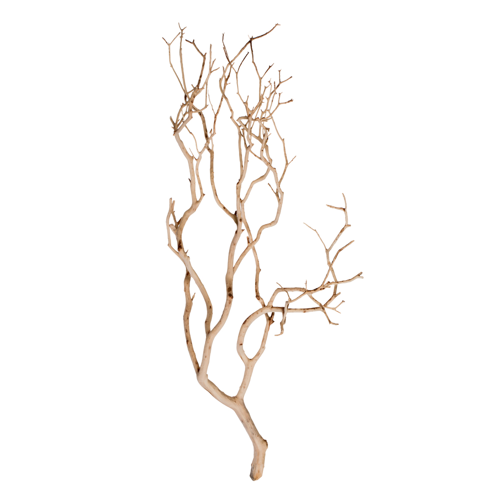 Vickerman Manzanita Tree Branch, Dried