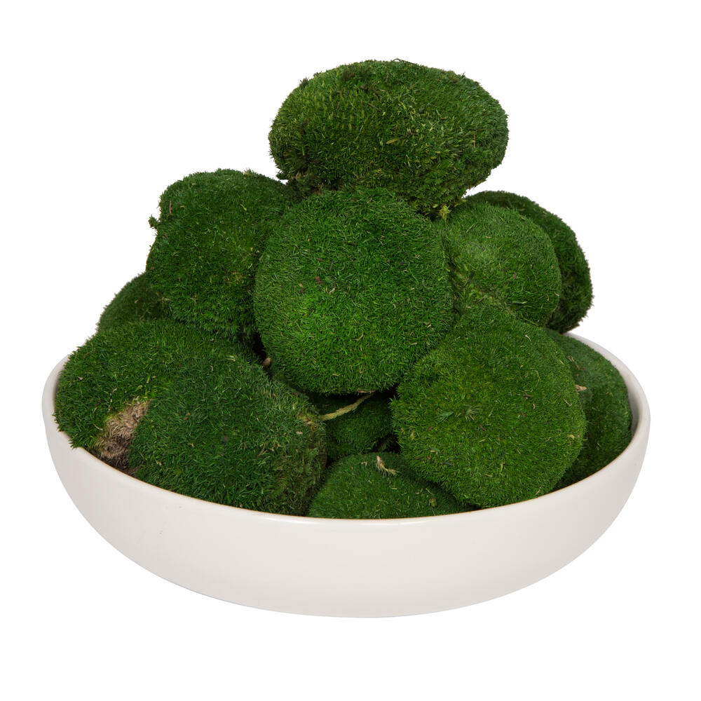 1 Lb. Apple Green Pole Moss