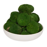 1 Lb. Apple Green Pole Moss