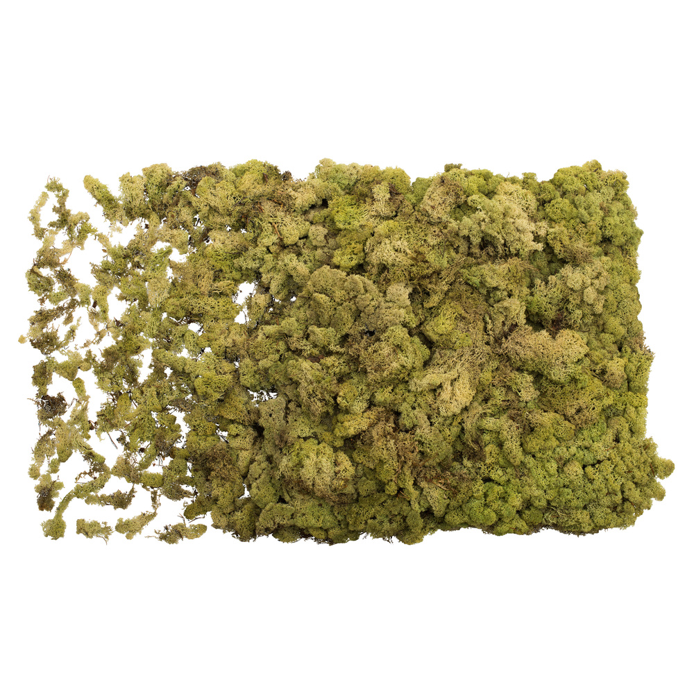 Vickerman Natural Botanicals Reindeer Moss