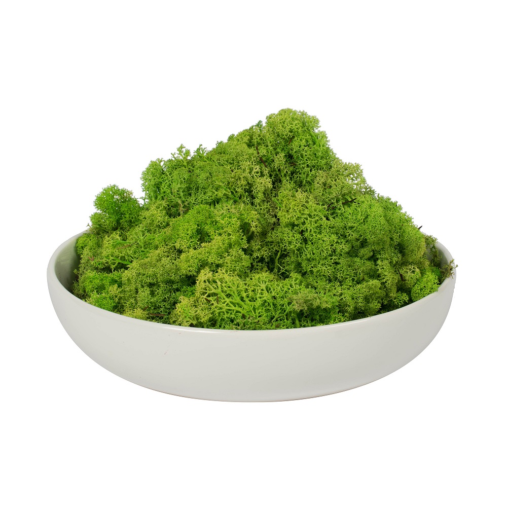 Vickerman Natural Botanicals Reindeer Moss