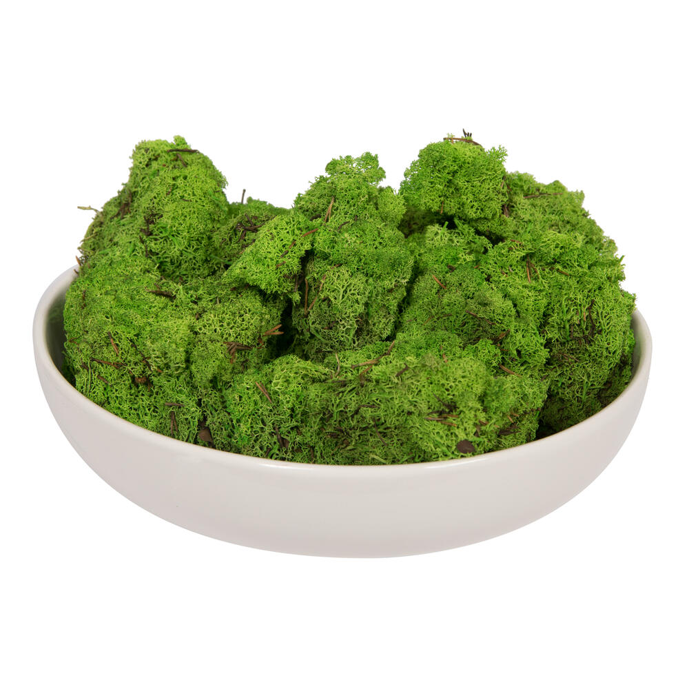 Vickerman Natural Botanicals Reindeer Moss