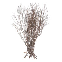 36" Tigerwood Stem Bundle - 25/Pk