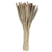 Vickerman Natural Botanicals 24" Babala Natural, 75/Pk