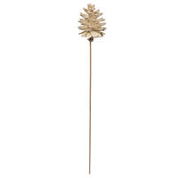 Vickerman 2" Natural Botanicals Blue Pine, on Stem