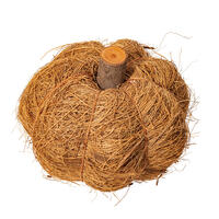 Vickerman Natural Botanicals Dried Hand Crafted Coconut Coir Pumpkin