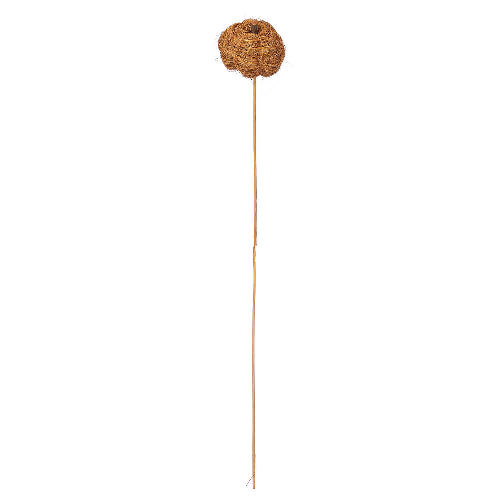 Vickerman Natural Botanicals Dried Hand Crafted Coconut Coir Pumpkin